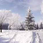 winter-scenes-iv-528693